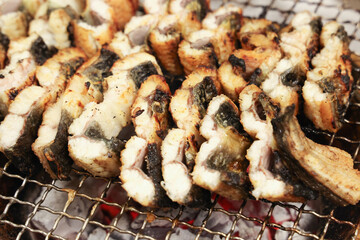 Korean food. Charcoal grilled eel
