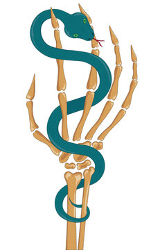 Little blue snake enlaced round skeleton hand vector illustration
