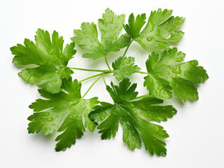 Close-up of fresh parsley leaves on white background, vitamin and health concept. Generative AI.