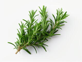 Close-up of fresh rosemary leaves on white background, vitamin and health concept. Generative AI.