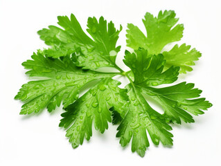 Close-up of fresh parsley leaves on white background, vitamin and health concept. Generative AI.