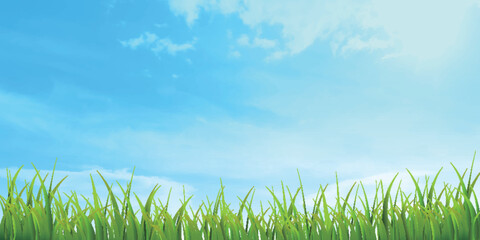 空　雲　草原、風景　背景