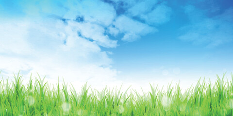 空　雲　草原、風景　背景