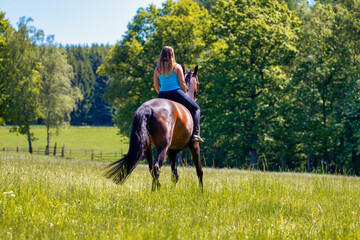 Young woman with brunette long hair rides bareback with her brown horse across a summer meadow, dressed in a blue tank top and riding pants with boots.