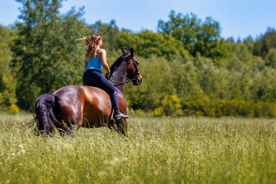 Young woman with brunette long hair rides bareback with her brown horse across a summer meadow, dressed in a blue tank top and riding pants with boots.
