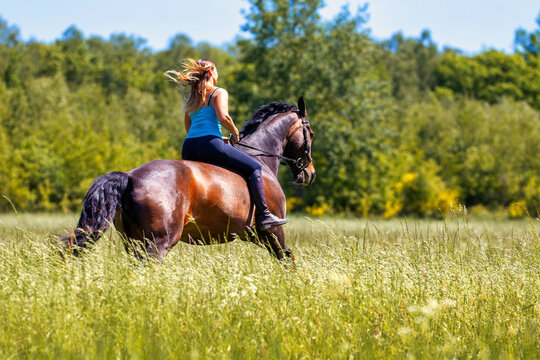 Young woman with brunette long hair rides bareback with her brown horse across a summer meadow, dressed in a blue tank top and riding pants with boots.