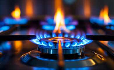 Gas burning from a kitchen gas stove. - obrazy, fototapety, plakaty