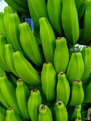 Bananas are one of the nutritious and nutritious healthy foods, especially for athletes