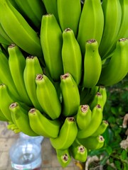 Bananas are one of the nutritious and nutritious healthy foods, especially for athletes