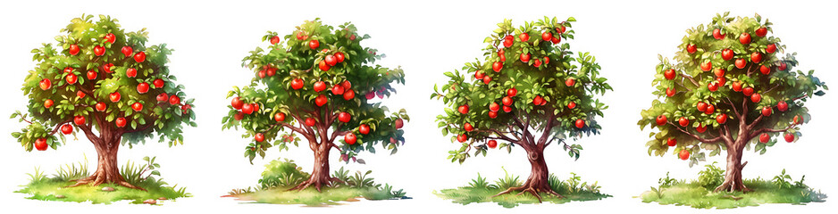 Watercolor apple tree clipart for graphic resources