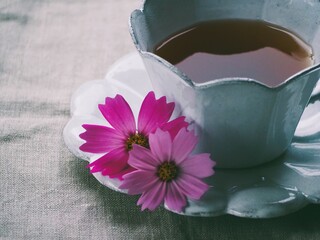 秋のティータイム　秋桜と紅茶