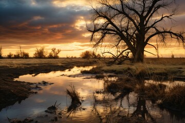 Fototapeta premium Dark and gloomy landscape