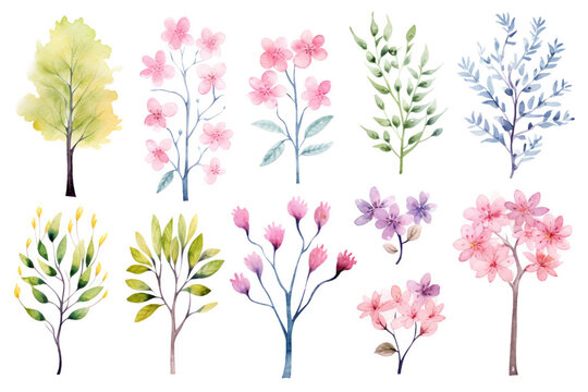 Watercolor painting.Flowering trees symbols on a white background. 