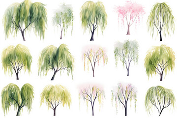 Fototapeta na wymiar Watercolor painting.willow trees symbols on a white background. 