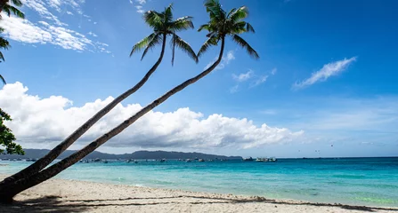 Acrylic prints Boracay White Beach Coconut trees on a paradise white beach on Boracay Island Philippines 