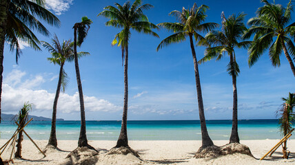 Coconut trees on a paradise white beach on Boracay Island Philippines 