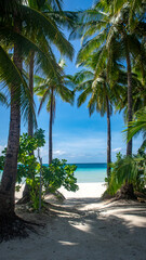 Coconut trees on a paradise white beach on Boracay Island Philippines 