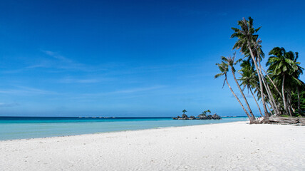Fototapeta na wymiar White beach and coconut trees on Boracay Island Philippines