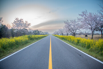 Fototapeta premium 길