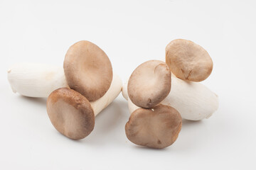   Mushrooms that are similar in shape to pine mushrooms and have excellent fleshy texture  

