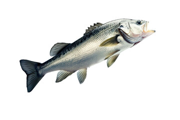 Naklejka premium isolated Atlantic fish in mid-jump, capturing the thrilling moment of its leap with precision and detail