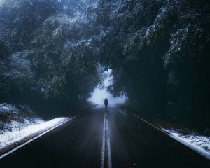 Beautiful tree scenery