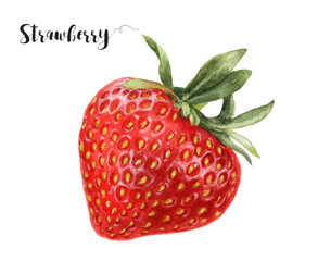 Watercolor illustration of strawberry close up. A hand-drawn painting.
