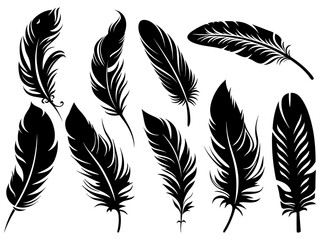 Set of detailed majestic feather collection. Bird Feather black silhouettes. Plumelet collection. Vector isolated on white - obrazy, fototapety, plakaty