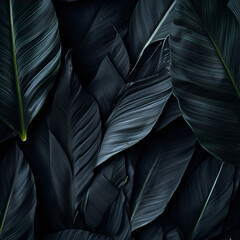 Fototapeta premium Textures of abstract black leaves for tropical leaf background. Flat lay, dark nature concept, tropical leaf, digital ai