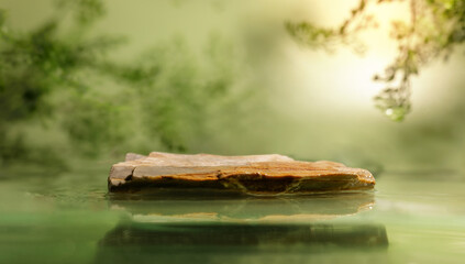 Side View of a Stone Display Stand for Product. with Green Freshness Water Ripple and Tree Branch Shadow. Background for Cosmetic, Organic and Sustainable Products