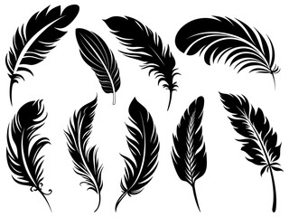 Set of detailed majestic feather collection. Bird Feather black silhouettes. Plumelet collection. Vector isolated on white