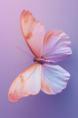 A striking orange butterfly with large wings, set against a gradient purple background, exudes warmth