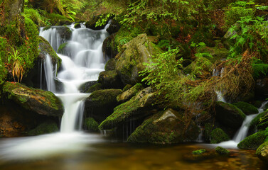 Waterfall on Black creek in the National park Sumava,Czechia. Mountain stream.