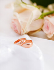 roses and rings  on white