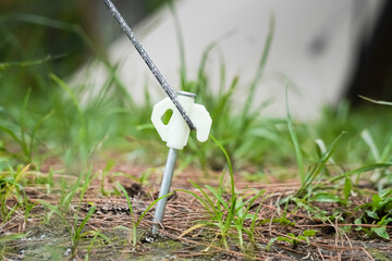 Close up photo of an aluminum tent peg with rope stuck into the ground at a camping site. A tool for tightening and strengthening tents from wind and natural disturbances.