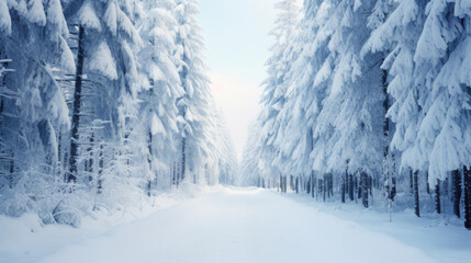 Fototapeta na wymiar Snow-covered road through a dense winter forest.