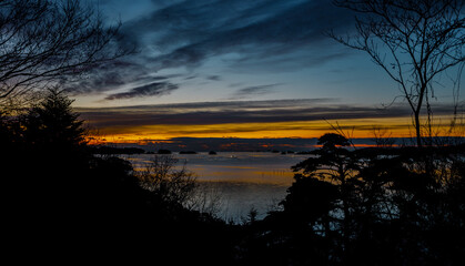 Fototapeta na wymiar Sunrise view over the ocean through the trees
