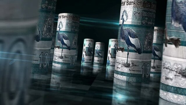 Gambia money Gambian dalasis rolls loop 3d. Money on table. Seamless and loopable abstract concept of economy, finance and business. Camera between 100 GMD rolled banknotes.