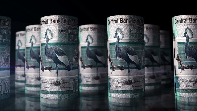 Gambia money Gambian dalasis rolls loop 3d. Camera moving in front of 100 GMD rolling banknotes. Seamless loopable concept of economy, finance, business and debt.