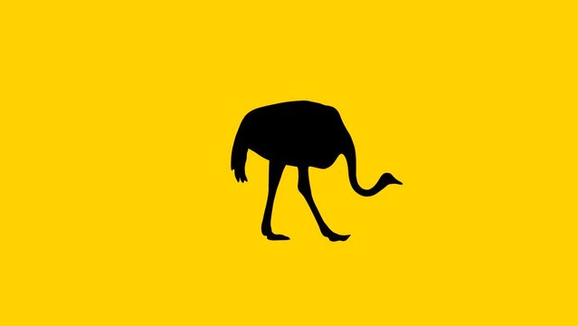 Animation with an ostrich walking on the yellow background (seamless loop)