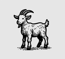 Goat hand drawn illustration vector