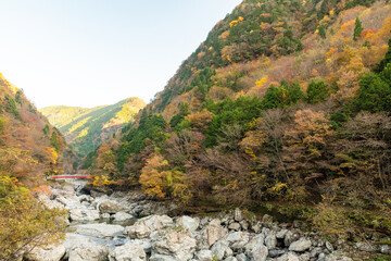 紅葉満開！秋の奈良県天川村みたらい渓谷