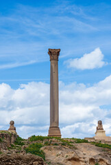 Two sphinxes and Pompey's pillar on territory of Serapeum of Alexandria in Egypt