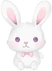 rabbit kawaii cartoon character