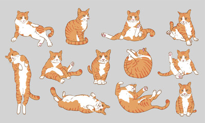 Cute Cartoon orange cat set,cat Character Design with Flat Colors in Various Poses