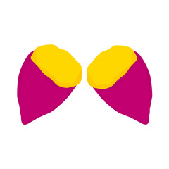 Sweet potato cut on white background. Two purple sweet potatoes with yellow flesh. Suitable for posters, websites, brochures and agricultural product packaging. Vector illustration