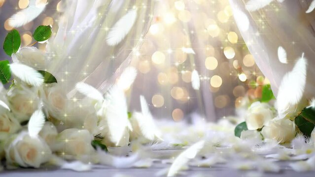 純白の薔薇の花束と羽のウエディングイメージのループ動画