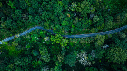 aerial view form drone winding road in the green valley in the north of thailand,