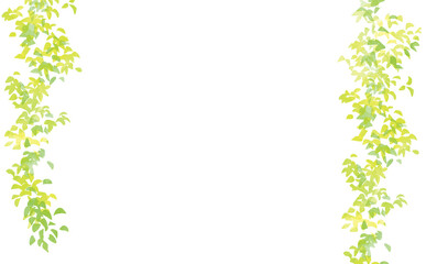 明るい緑の植物の背景素材