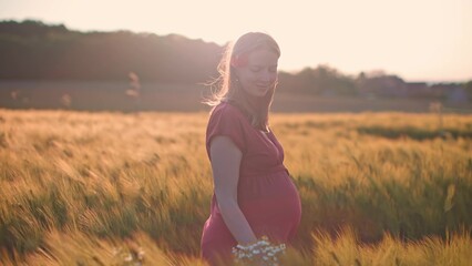 happy pregnant woman in nature walking in wheat field at sunset - Powered by Adobe